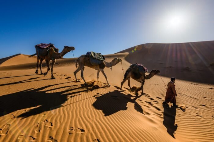 3 Days Desert Tour from Marrakech to Merzouga & Fes